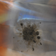 Image for article titled This Is What Space Debris Can Do To Kevlar Shielding